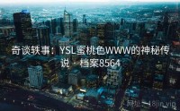 奇谈轶事：YSL蜜桃色WWW的神秘传说 · 档案8564