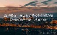 真相调查：女人与公狍交酡过程高清视频的神秘一面 · 档案6306