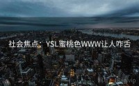 社会焦点：YSL蜜桃色WWW让人咋舌