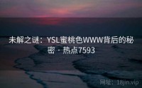 未解之谜：YSL蜜桃色WWW背后的秘密 · 热点7593