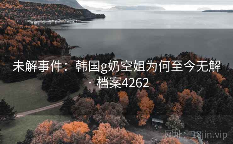 未解事件：韩国g奶空姐为何至今无解 · 档案4262